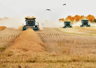 Agriculture